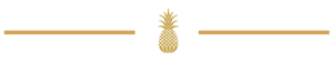 design_assets_ahcu-01